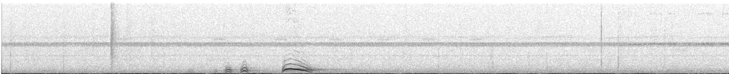 Black-banded Owl - ML643440890