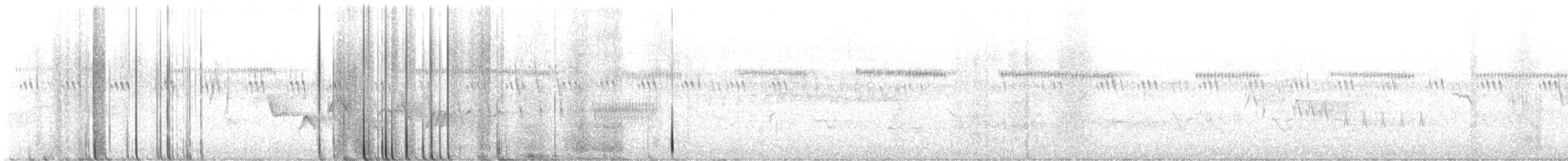 Orange-crowned Warbler - ML643440903