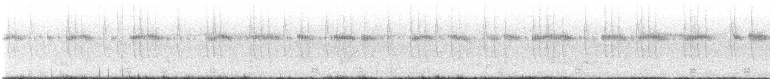 Broad-tailed Hummingbird - ML643440979