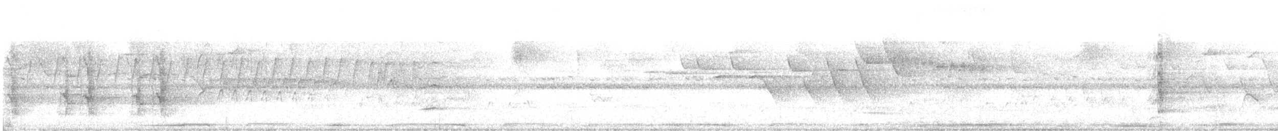 Scaly-headed Parrot - ML643441095