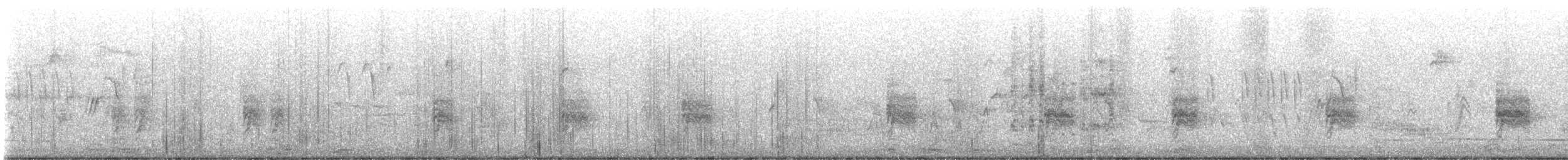 Bewick's Wren - ML643441118