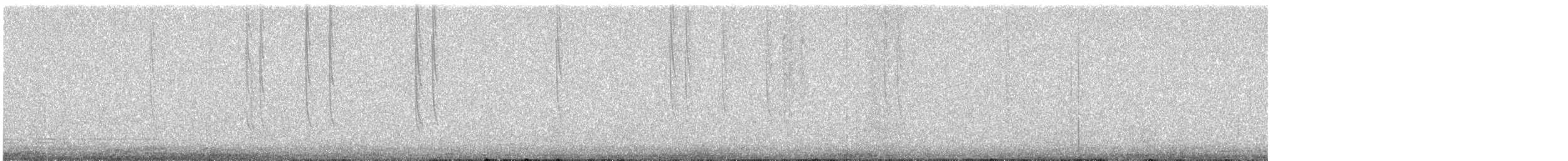 Broad-tailed Hummingbird - ML643441293