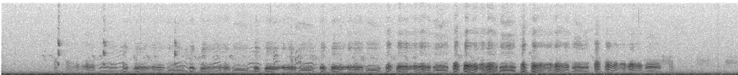 Manx Shearwater - ML643441504