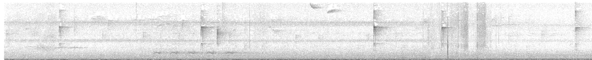 Pico Pubescente - ML643441967