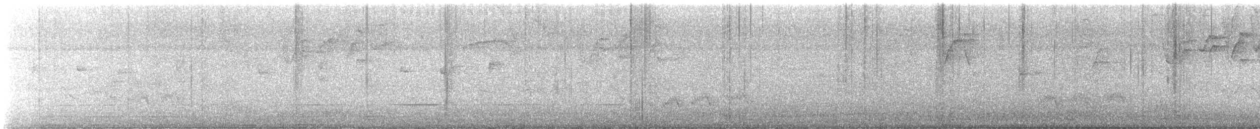 Sinsonte Tropical - ML643442116