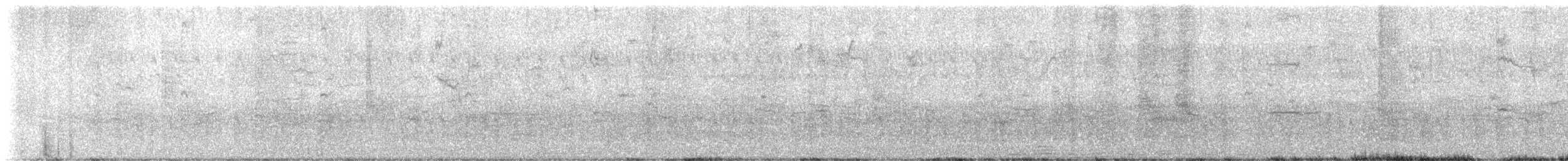 Zanate Común - ML643442368
