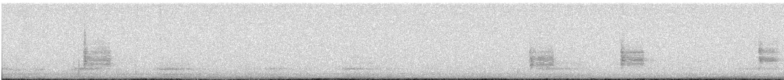 シロハラミソサザイ - ML643442587