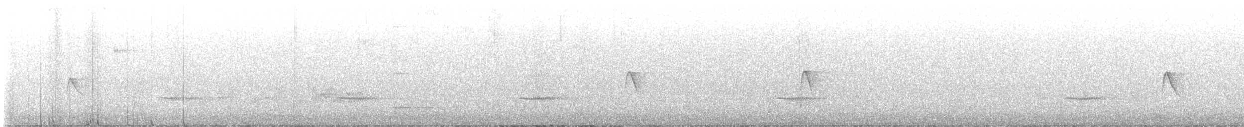キバラメジロハエトリ - ML643442689