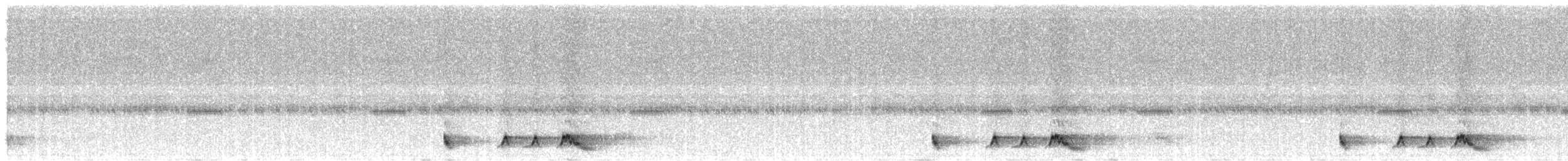 アカヨタカ - ML643443576