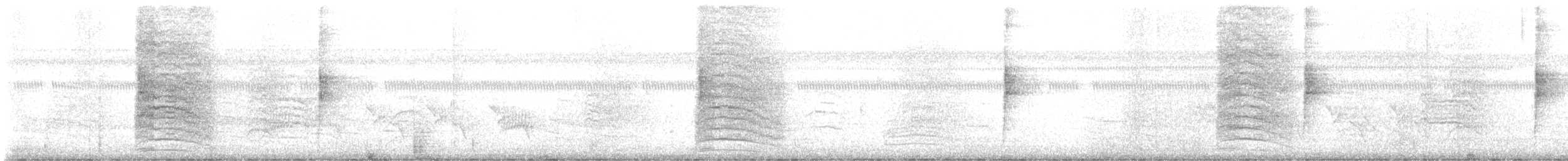 Northern Waterthrush - ML643443865