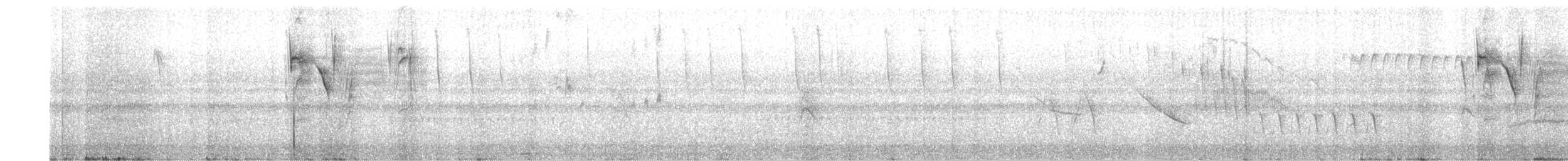 Southern House Wren - ML643443930