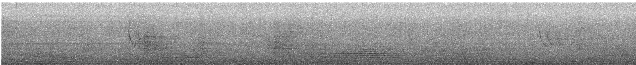 White Wagtail - ML643444201