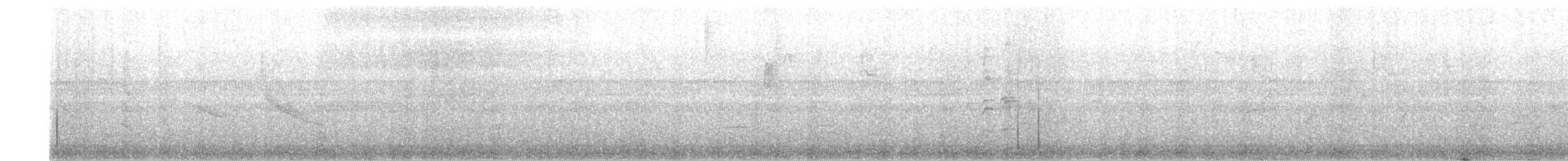 Striped Cuckoo - ML643444310
