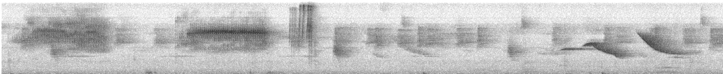 Spotted Barbtail - ML643445196