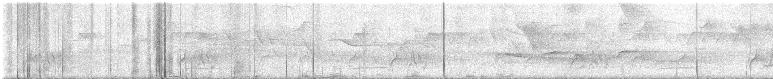 Schwarzbrusttyrann - ML643445580