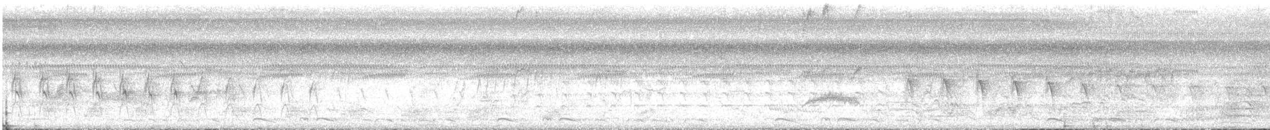 Gelbscheitelamazone - ML643445916