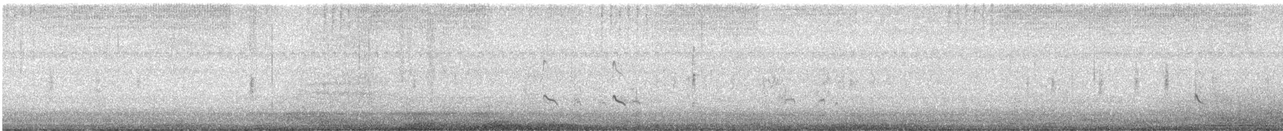 Falaropo beccosottile - ML643446322