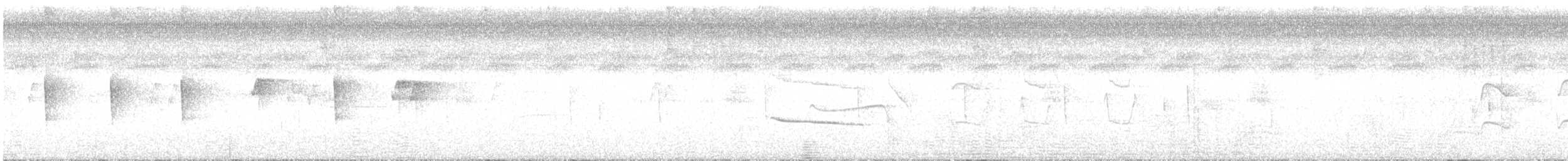 gjøglertodityrann - ML643446593