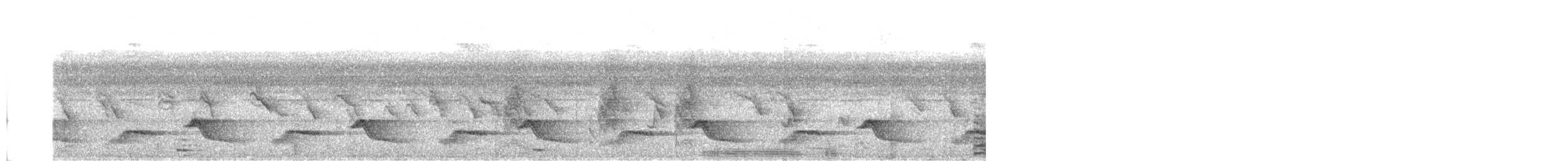 Yellow-tailed Oriole - ML643446985