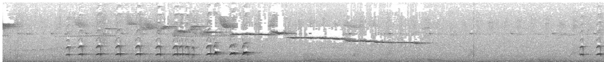 Wing-barred Piprites - ML643447160