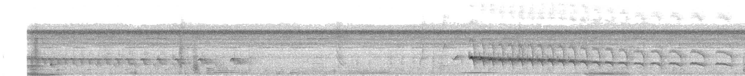 Straight-billed Woodcreeper - ML643447440