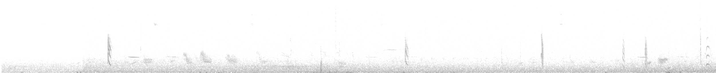 Marañon Tyrannulet - ML643447996