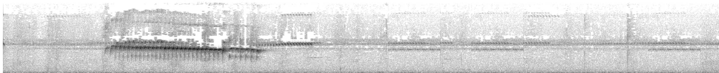 Sclérure à poitrine rousse - ML643448040