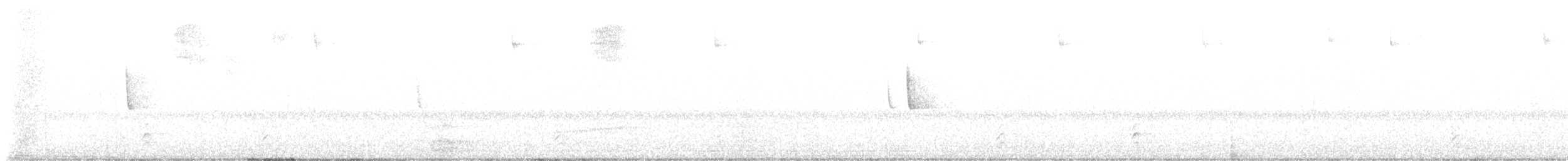 Morgenammer - ML643448858
