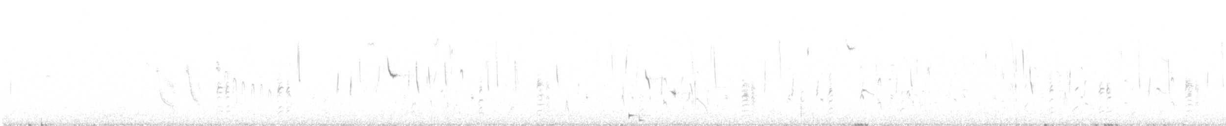 hettesisik - ML643449401