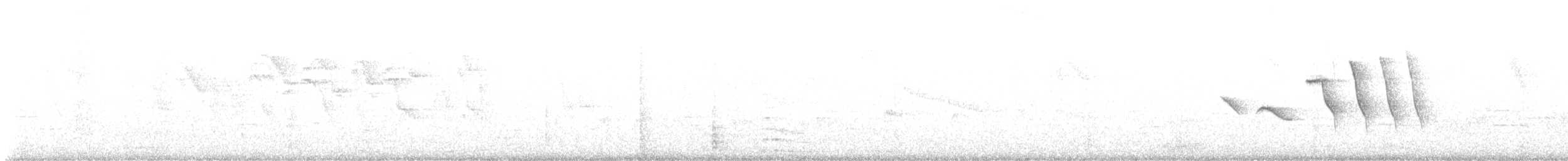Tangara évêque - ML643449957
