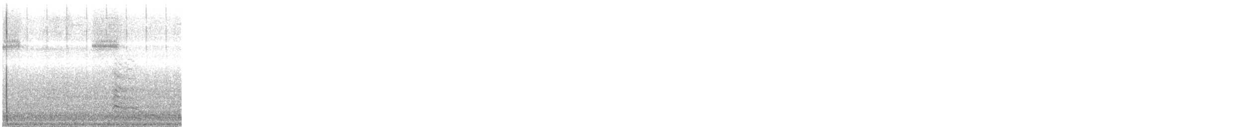 Gabbiano sghignazzante - ML643451623