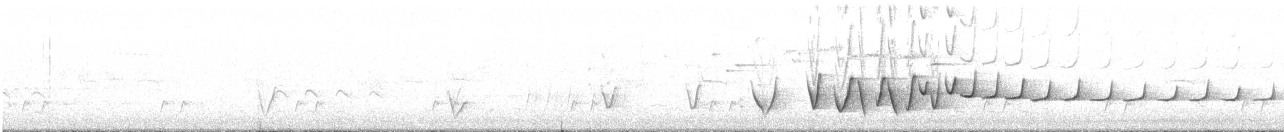 Siffleur itchong - ML643451997