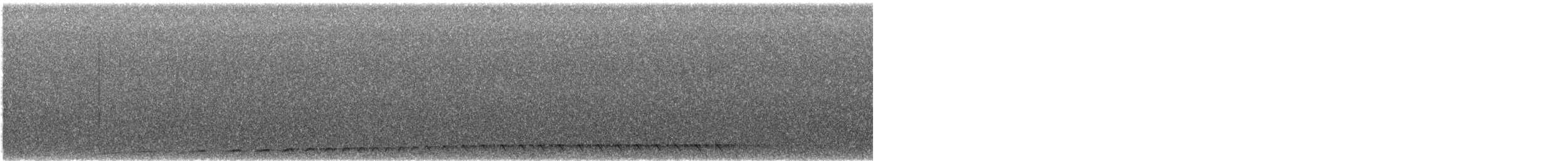 Chotacabras Bigotudo - ML643452123