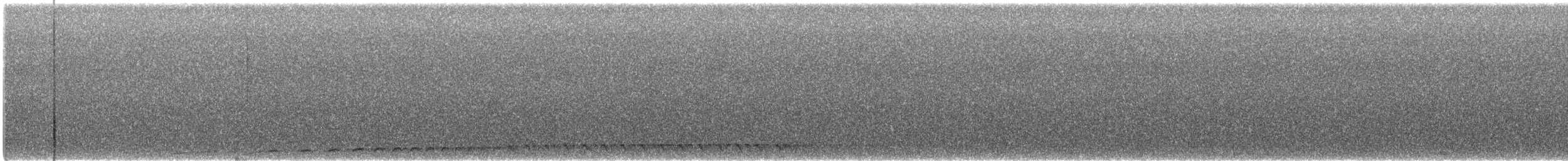 Chotacabras Bigotudo - ML643452124