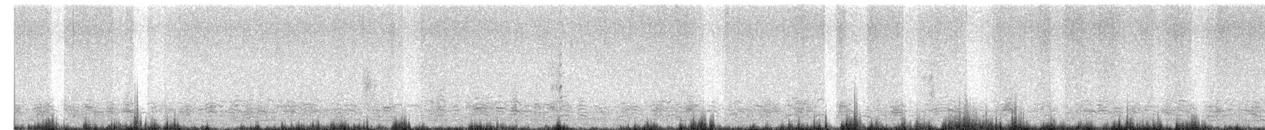 Branta musuzuria - ML643452192