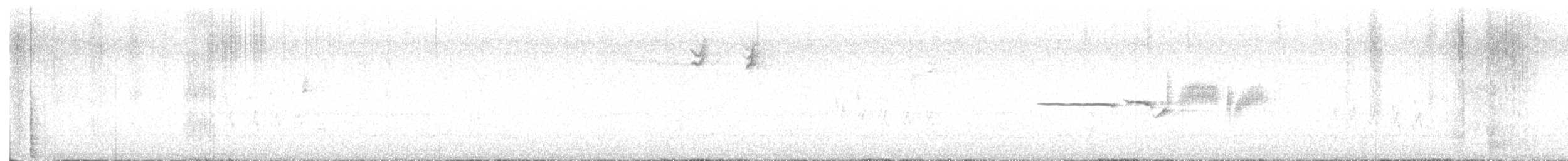 White-crowned Sparrow - ML643452555