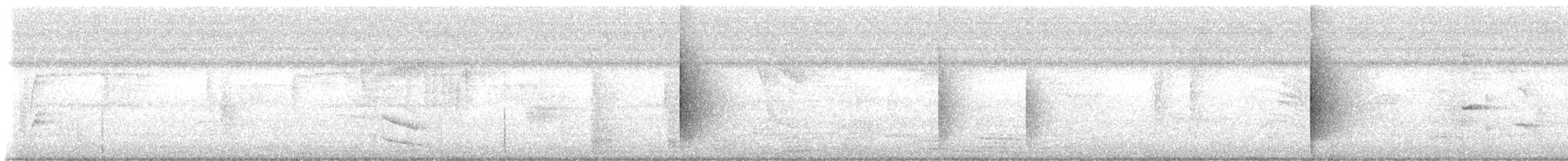 White-collared Manakin - ML643452905