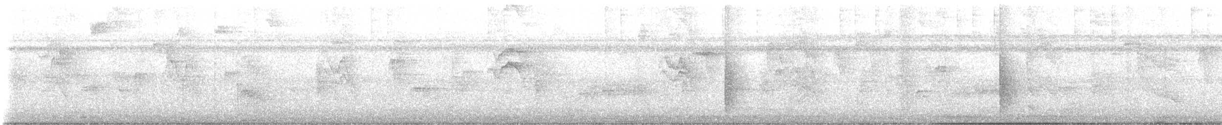 White-collared Manakin - ML643452976