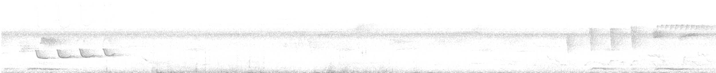 White-winged Becard - ML643453418