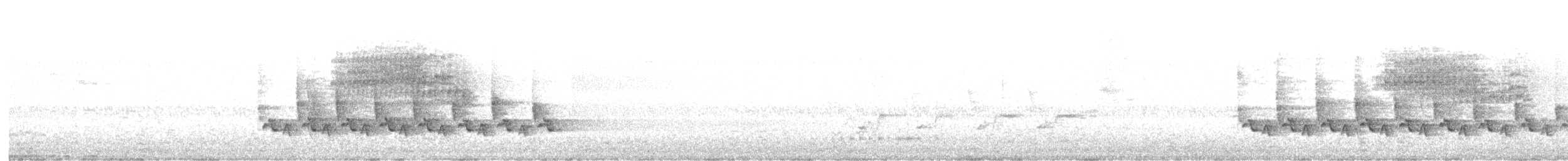 Carolina Wren - ML643453522