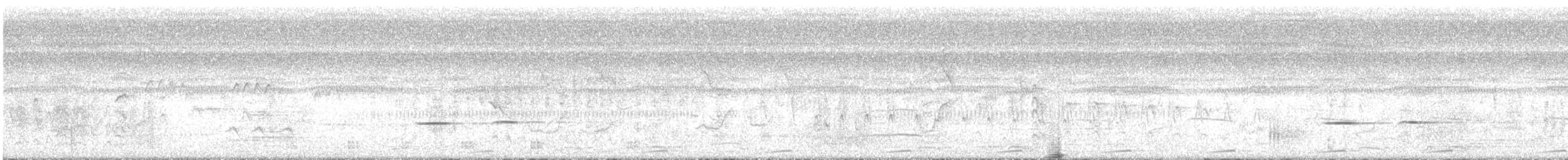 Striped Cuckoo - ML643453847