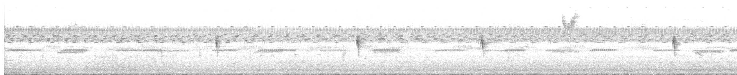 Swamp Sparrow - ML643453860