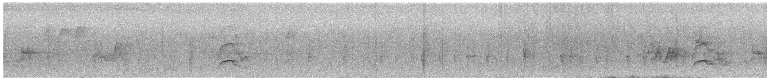 Scalloped Woodcreeper - ML643453954