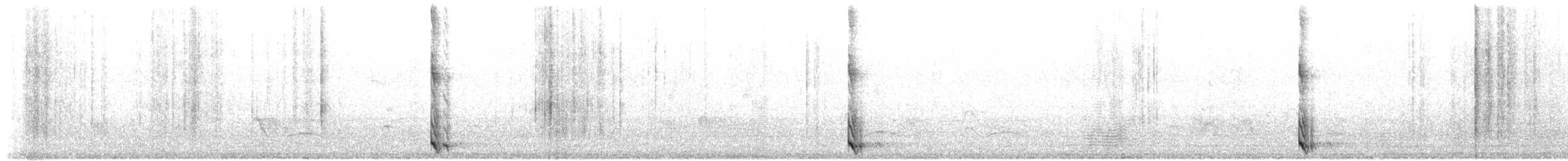 Tourco huppé - ML643454785