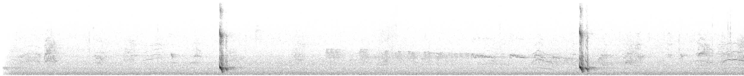 Tourco huppé - ML643454790