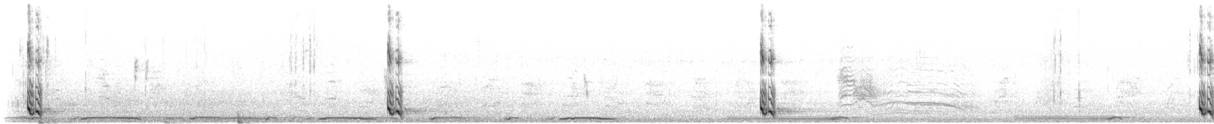 Tourco huppé - ML643454792