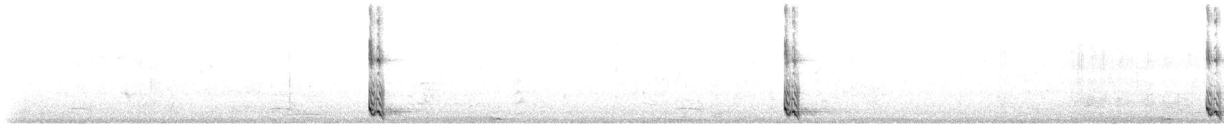 Tourco huppé - ML643454793