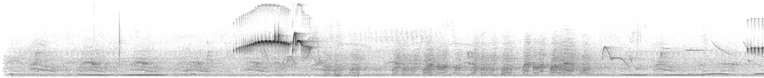 Tyranneau terne - ML643454857
