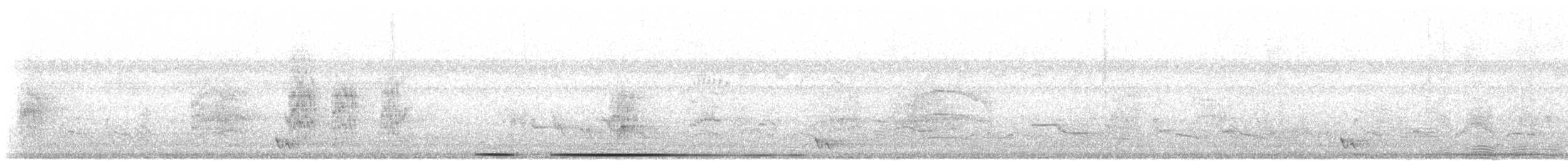 Colombe de Verreaux - ML643454880