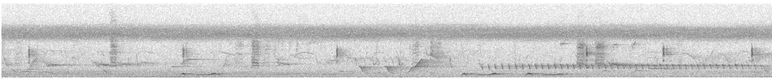 Lewin's Rail - ML643455870